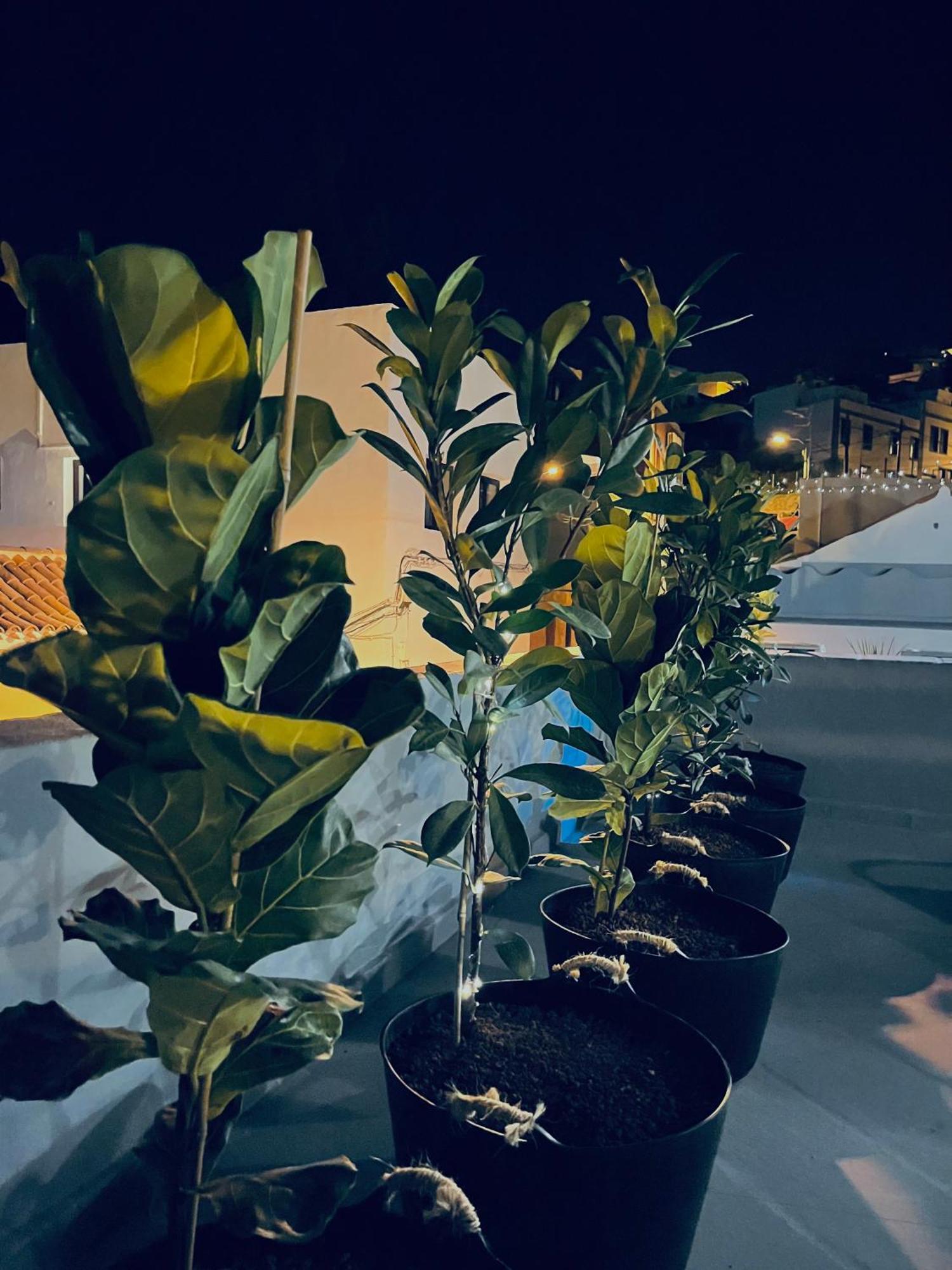 Plaza De La Fuente Granadilla De Abona Tenerife Sur Only Adults Con Terraza Privada エクステリア 写真
